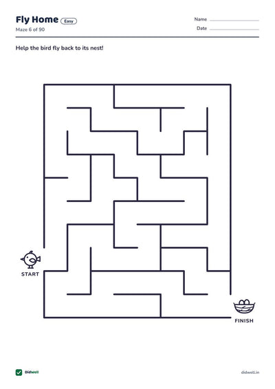 Fly Home Easy Maze